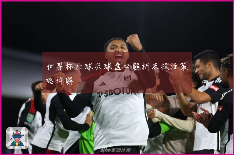 世界杯让球买球盘口解析及投注策略详解
