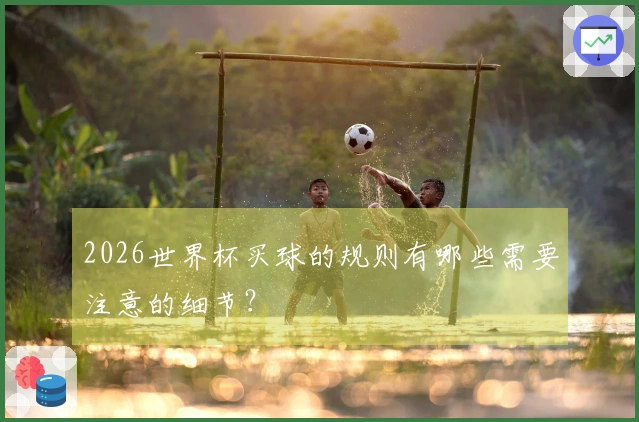 2026世界杯买球的规则有哪些需要注意的细节?