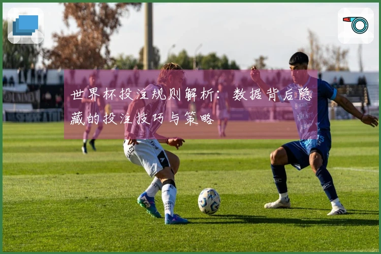 世界杯投注规则解析：数据背后隐藏的投注技巧与策略