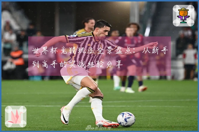 世界杯竞猜玩法全景盘点：从新手到高手的实战经验分享