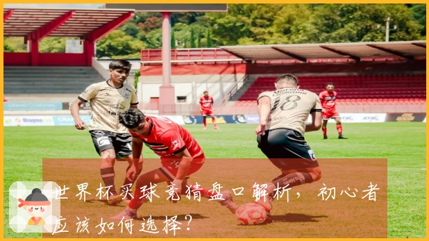世界杯买球竞猜盘口解析，初心者应该如何选择？