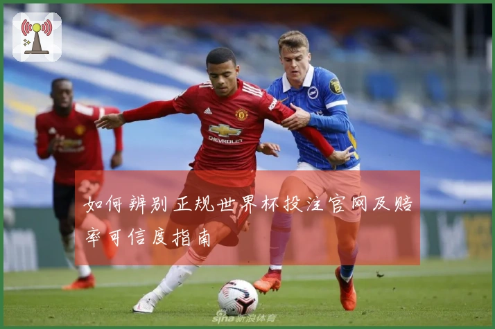 如何辨别正规世界杯投注官网及赔率可信度指南
