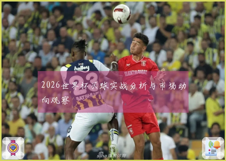 2026世界杯买球实战分析与市场动向观察