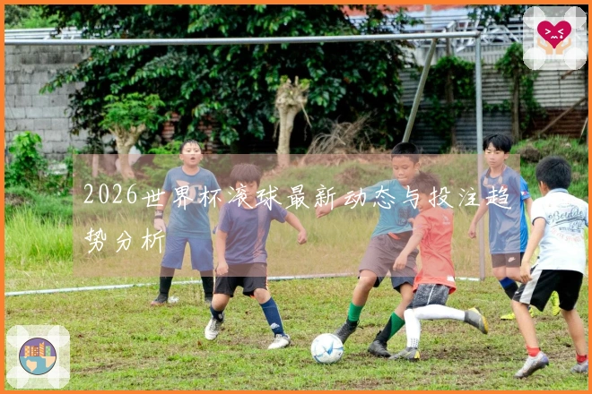 2026世界杯滚球最新动态与投注趋势分析