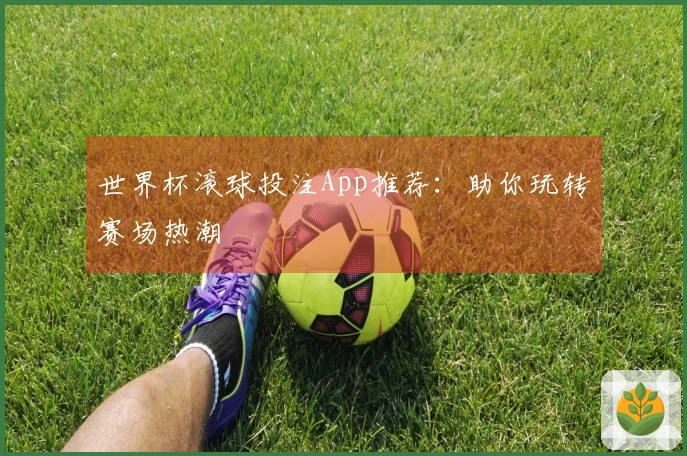 世界杯滚球投注App推荐：助你玩转赛场热潮