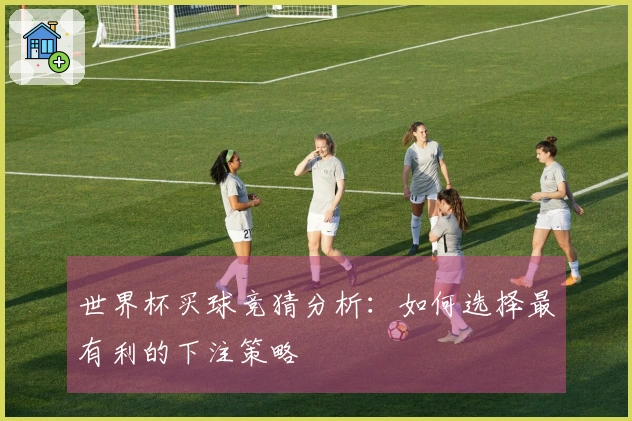 世界杯买球竞猜分析：如何选择最有利的下注策略