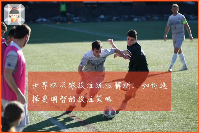 世界杯买球投注玩法解析：如何选择更明智的投注策略