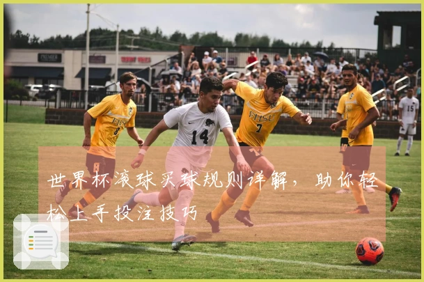 世界杯滚球买球规则详解，助你轻松上手投注技巧