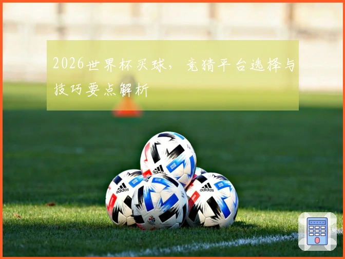 2026世界杯买球，竞猜平台选择与技巧要点解析