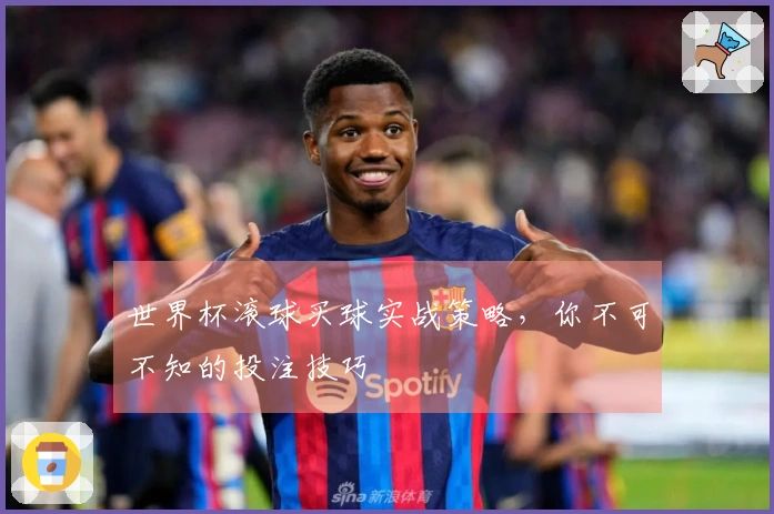 世界杯滚球买球实战策略，你不可不知的投注技巧