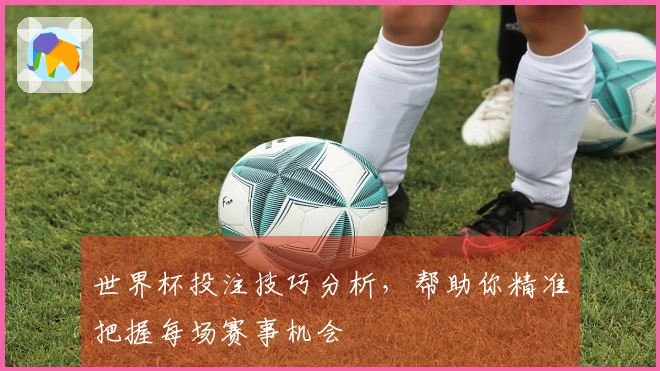 世界杯投注技巧分析，帮助你精准把握每场赛事机会