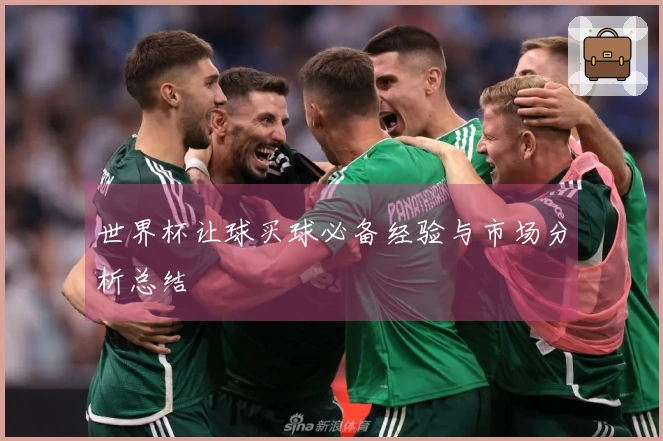 世界杯让球买球必备经验与市场分析总结