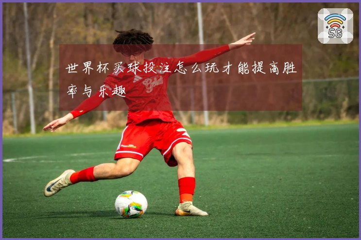 世界杯买球投注怎么玩才能提高胜率与乐趣