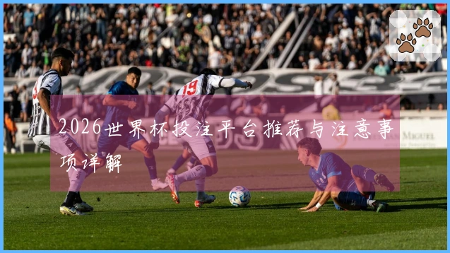 2026世界杯投注平台推荐与注意事项详解