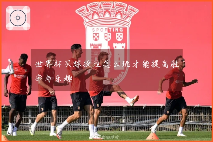 世界杯买球投注怎么玩才能提高胜率与乐趣