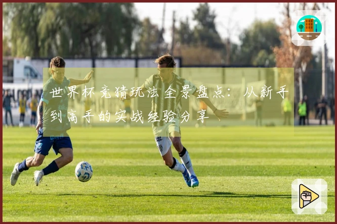 世界杯竞猜玩法全景盘点：从新手到高手的实战经验分享