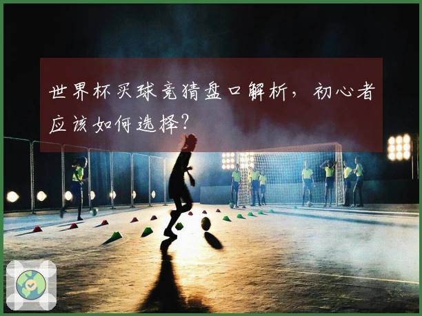 世界杯买球竞猜盘口解析，初心者应该如何选择？