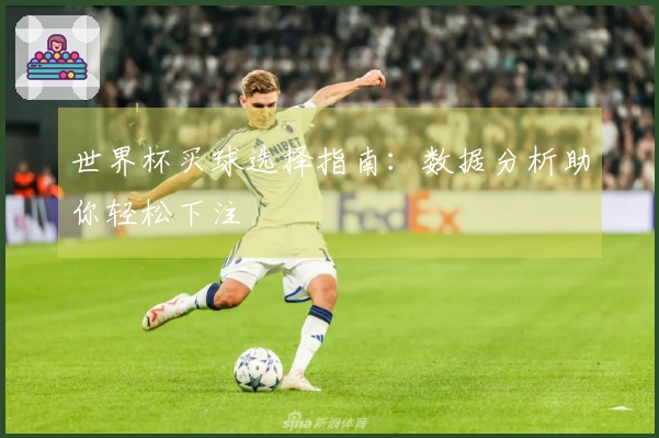 世界杯买球选择指南：数据分析助你轻松下注