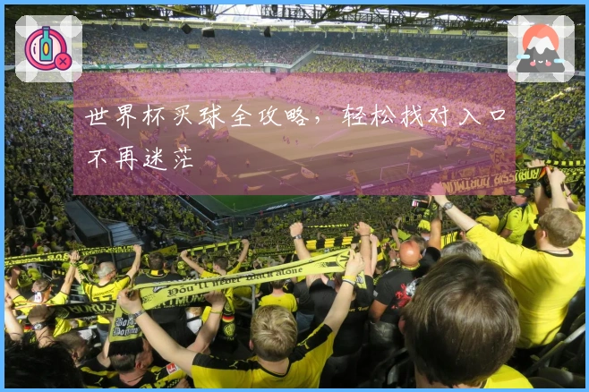 世界杯买球全攻略，轻松找对入口不再迷茫