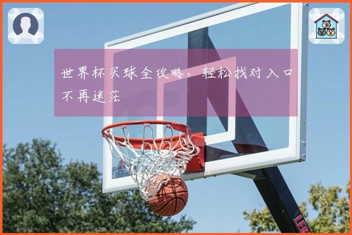 世界杯买球全攻略，轻松找对入口不再迷茫