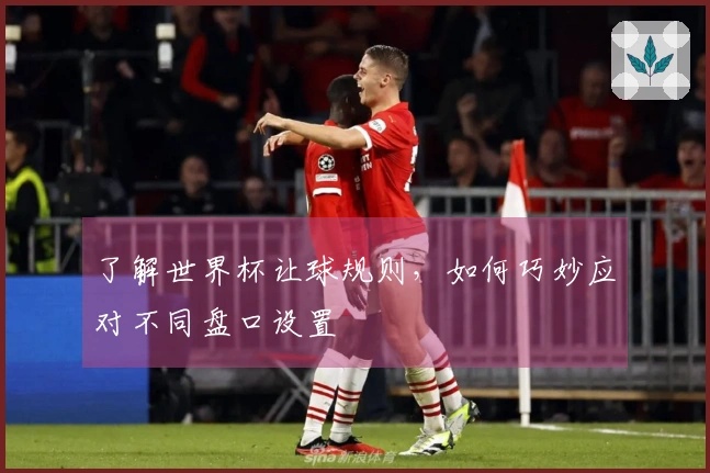 了解世界杯让球规则，如何巧妙应对不同盘口设置