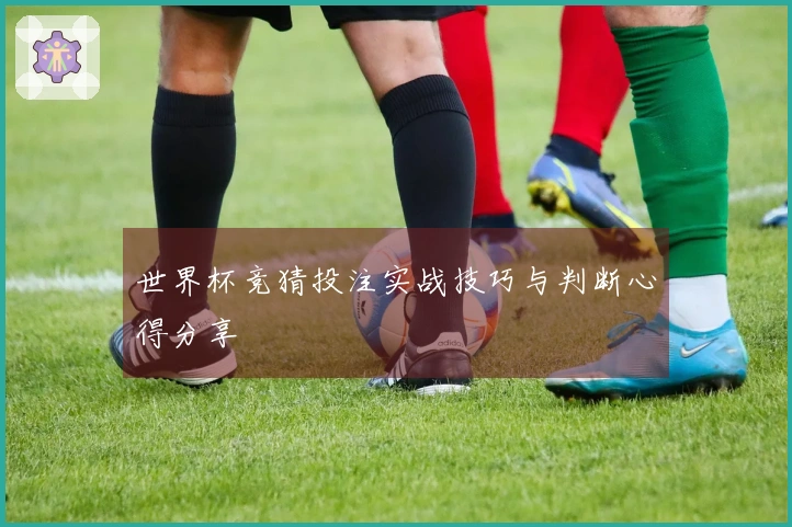 世界杯竞猜投注实战技巧与判断心得分享