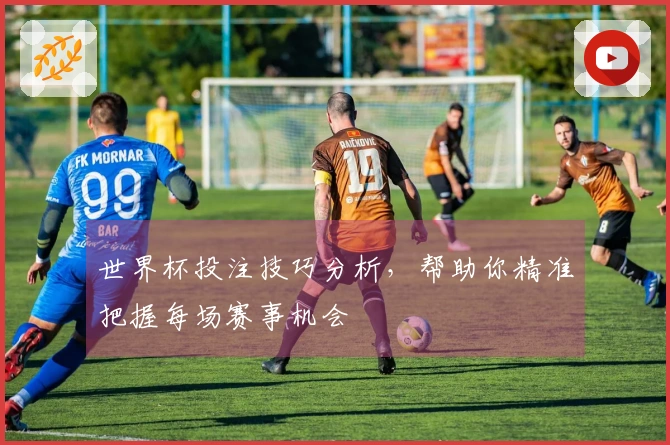 世界杯投注技巧分析，帮助你精准把握每场赛事机会