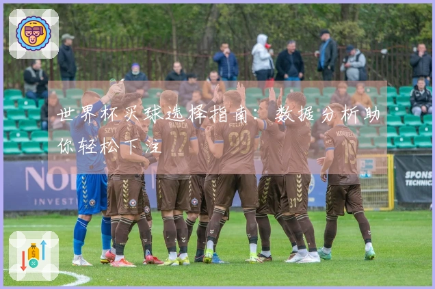 世界杯买球选择指南：数据分析助你轻松下注